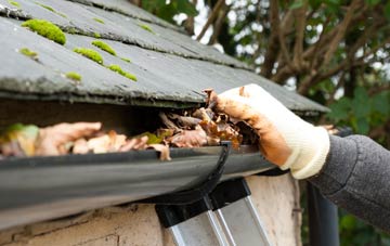 gutter cleaning Bowhill